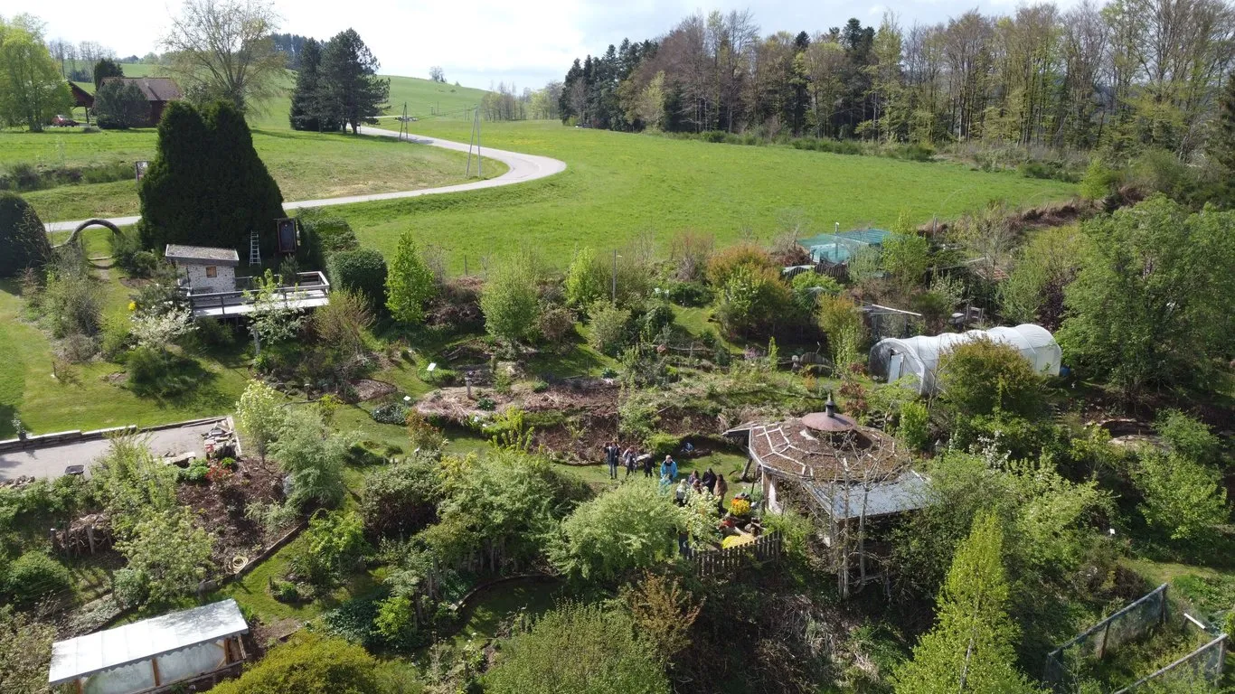 Une Figue dans le Poirier : immersion dans un design de jardin-forêt exigeant et inspirant