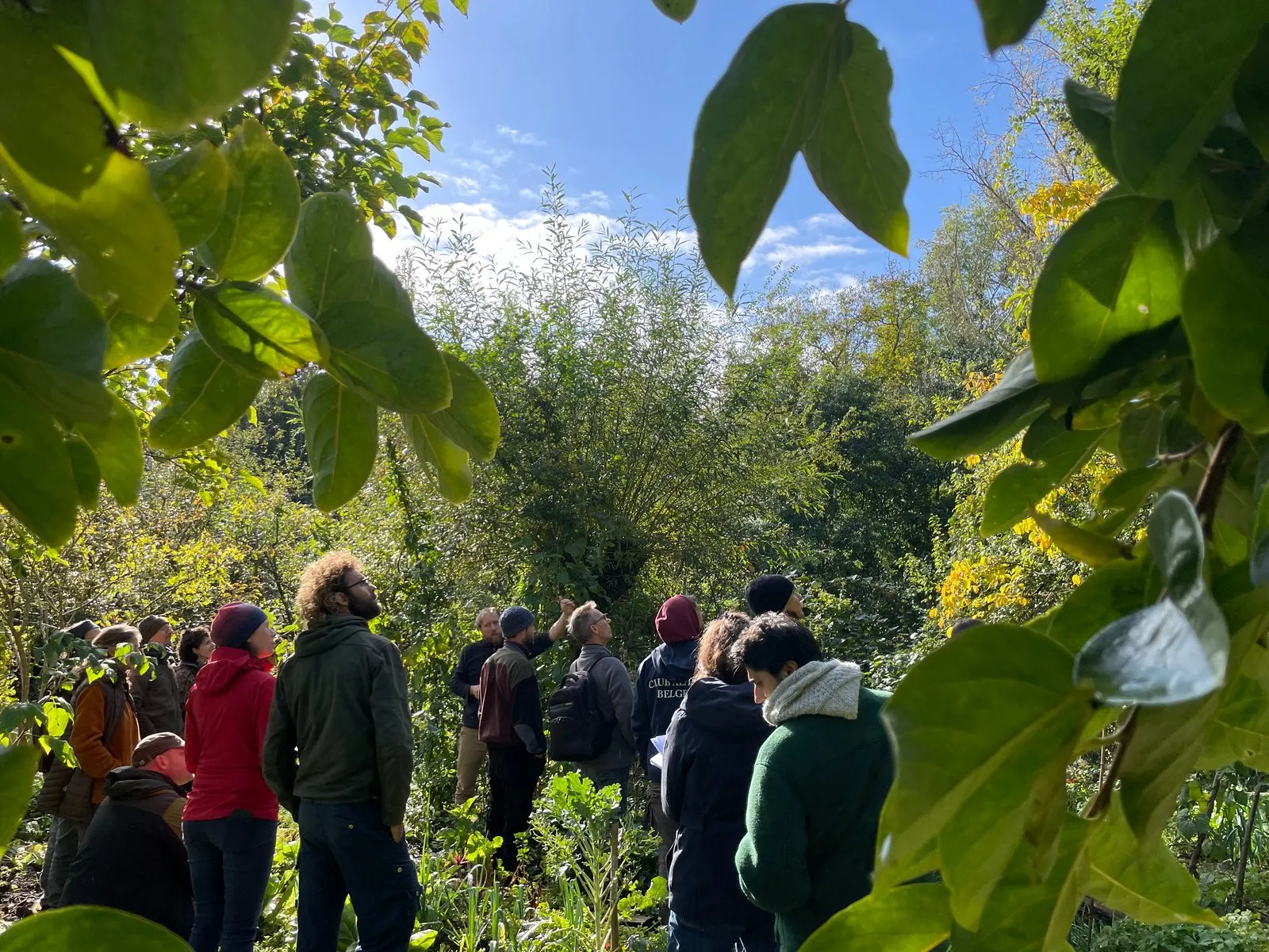 Journée de visite à la forêt comestible Ketelbroek — Septembre 2024 — vue 6