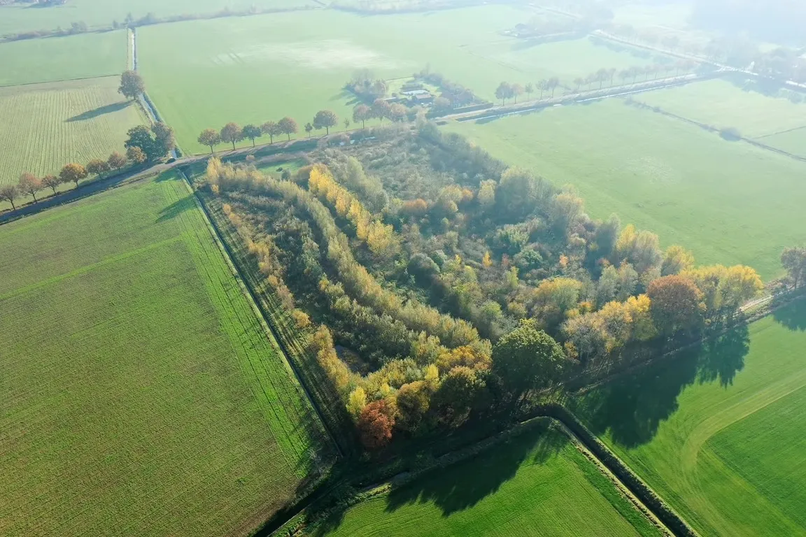 Forêt comestible Ketelbroek à Groesbeek, Pays-Bas
