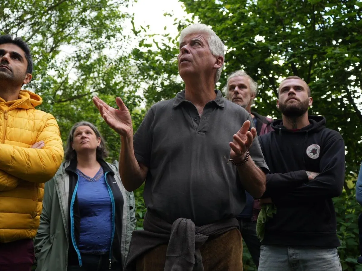 L'abondance d'un jardin-forêt Semisto