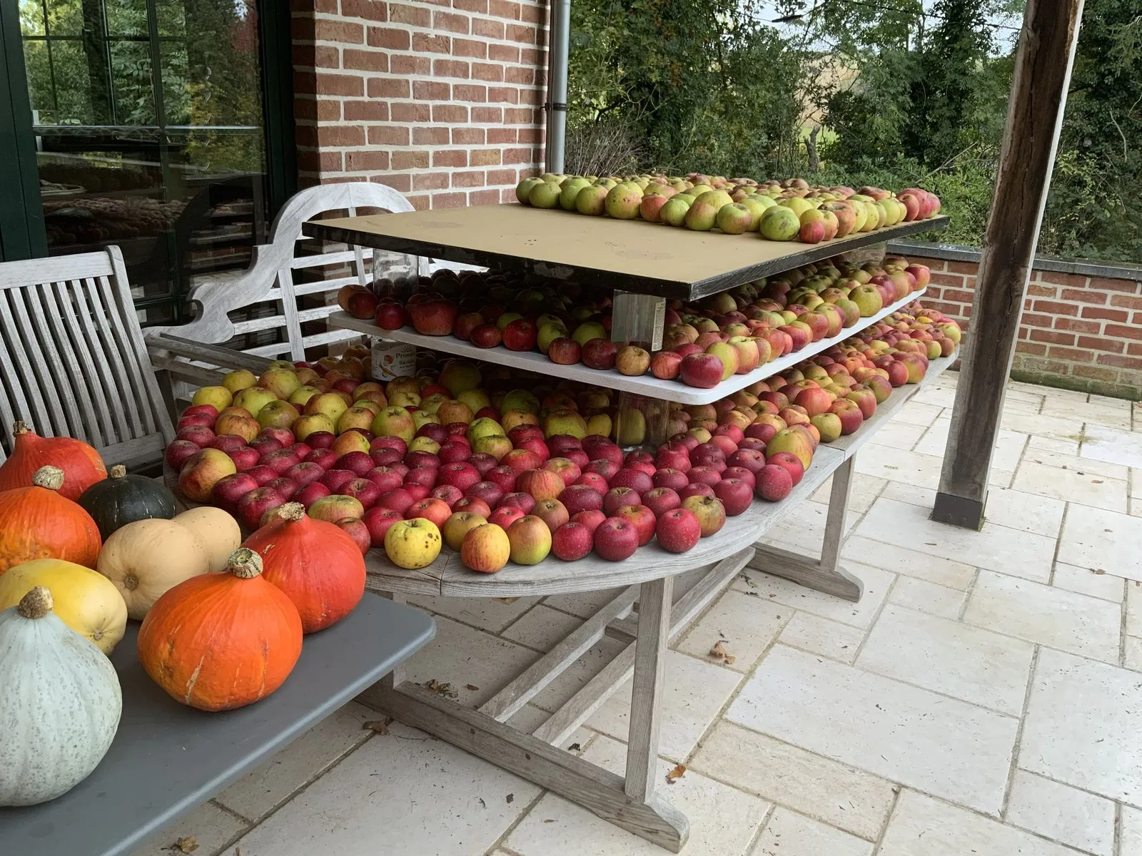 Le sentier comestible de Manu — vue 5