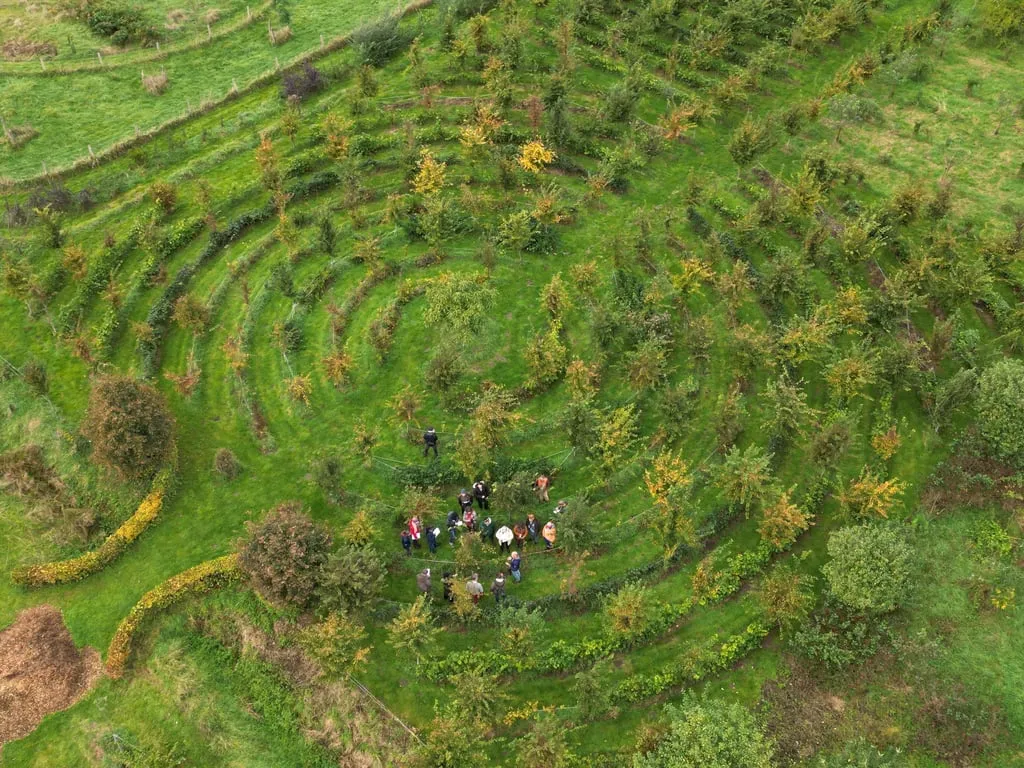 Vue aérienne d'un jardin-forêt en spirale avec un groupe rassemblé en son centre.
